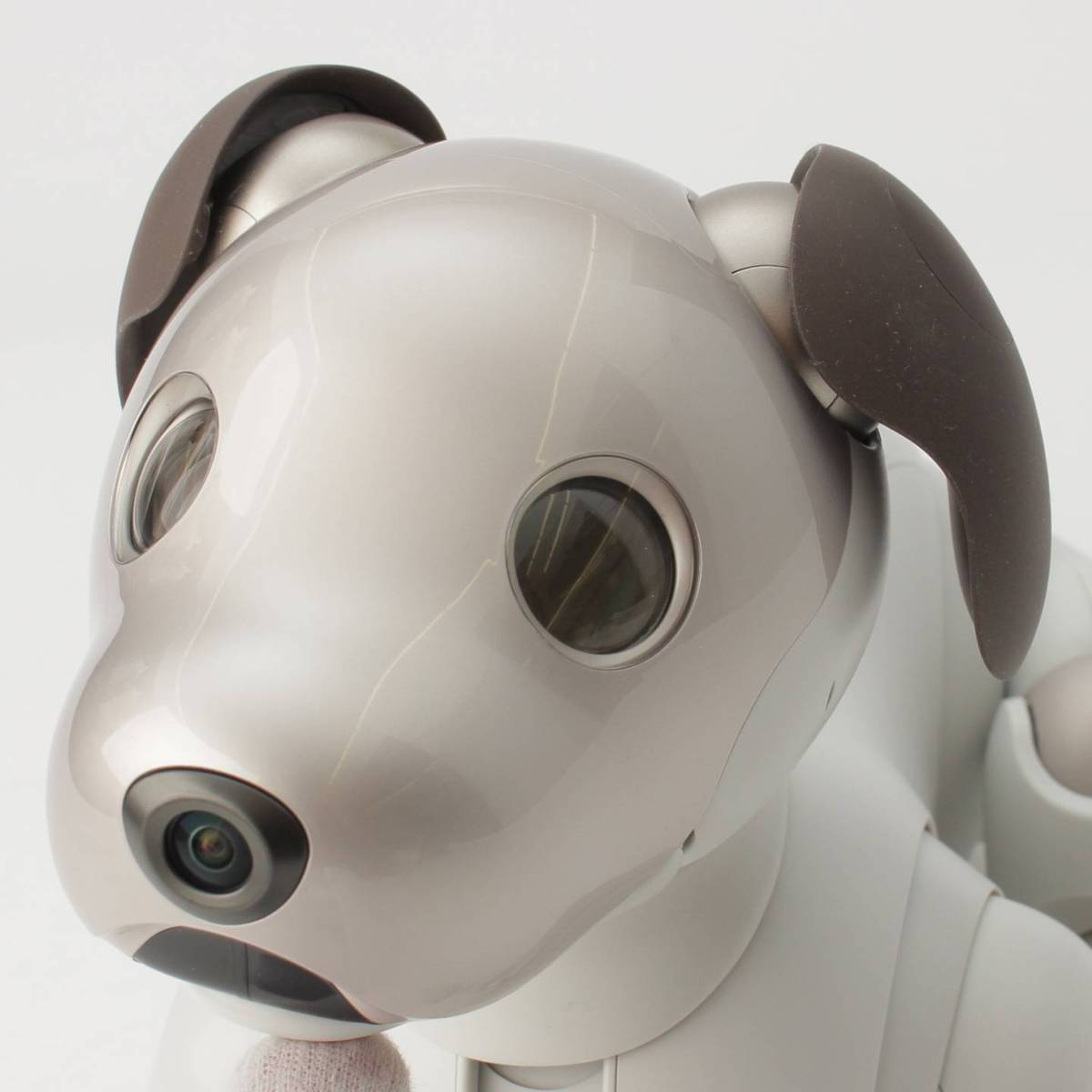 楽天市場】【ソニー】SONY アイボ aibo 犬型 バーチャル ペット