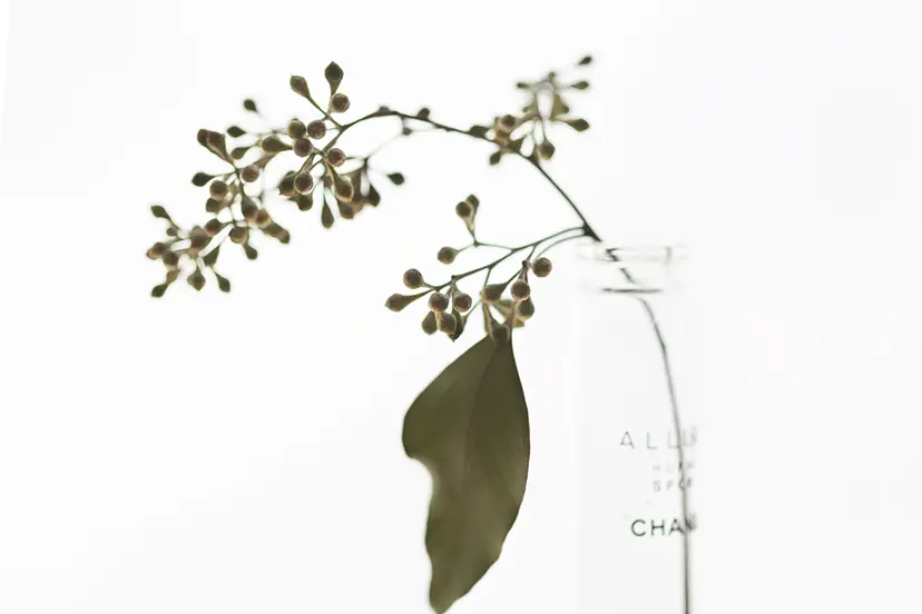 藤田 一咲 のアート作品 | 現代アートの販売・通販 | ArtSticker