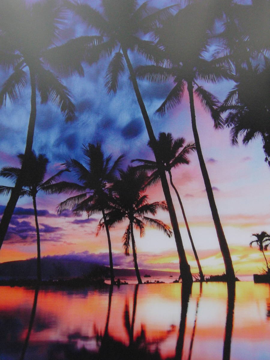 2026年最新】Yahoo!オークション -クリストファー・イーガンの中古品