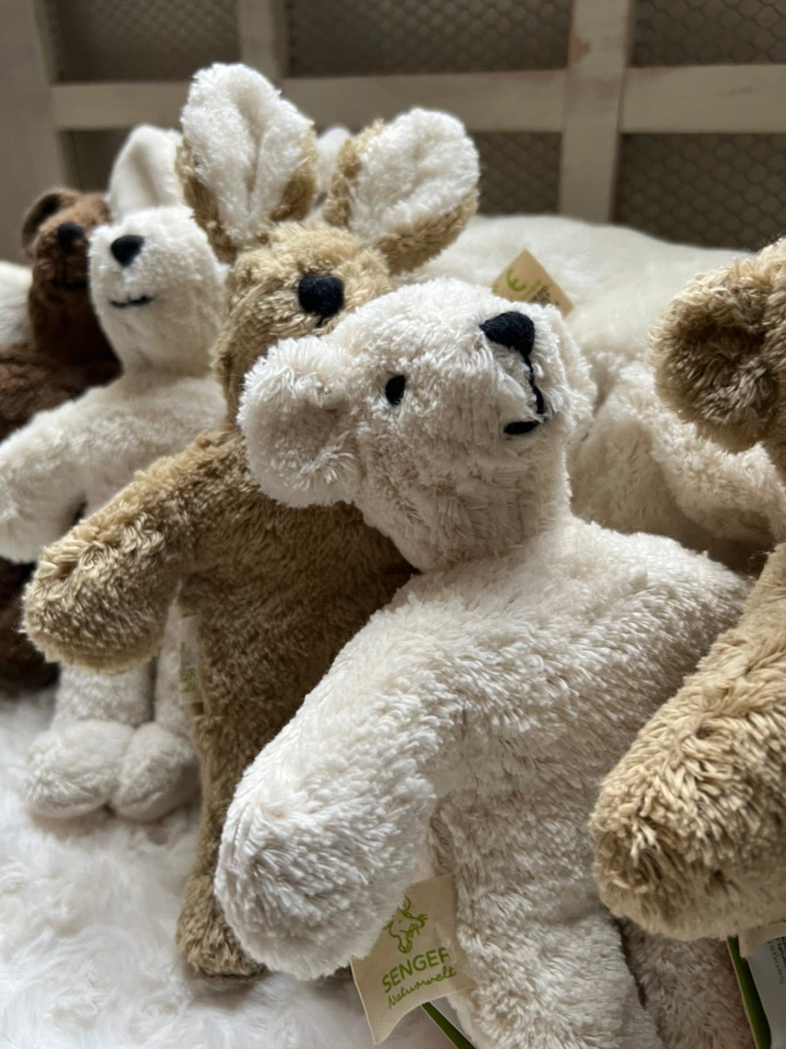 Animal Baby Bear (White) ｜ SENGER Naturwelt ｜ ゼンガー ナチュ