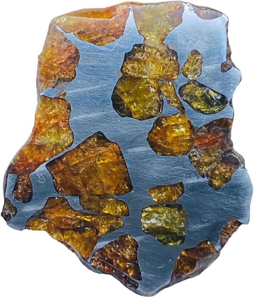 Amazon | 【鑑別書選択可能】Imilac隕石 8.5g イミラック パラサイト